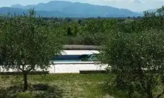 Rexer-Arce-Ampia-villa-con-piscina-GIARDINO