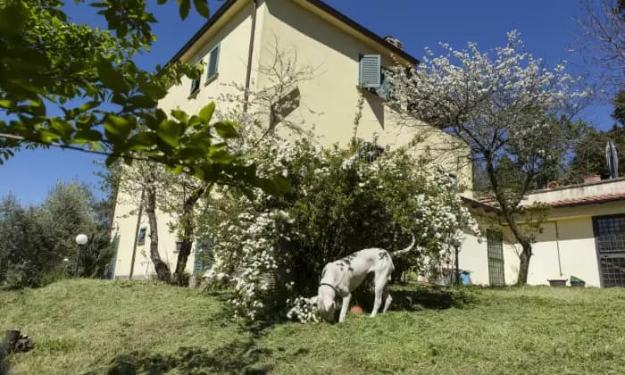Rexer-Rignano-Flaminio-Villa-con-giardino-Terrazzo