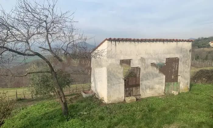 Rexer-Este-Villa-unifamiliare-via-Isabella-dEste-Meggiaro-Basso-Este-Terrazzo