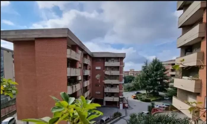 Rexer-Catanzaro-Appartamento-in-vendita-in-via-Michele-Torcia-a-Catanzaro-Terrazzo