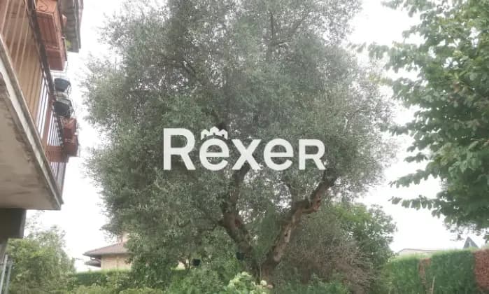 Rexer-Briosco-Palazzina-cieloterra-Giardino