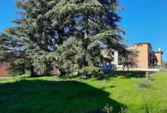 Rexer-Rignano-Flaminio-Villa-in-vendita-in-via-E-Torricelli-a-Rignano-Flaminio-Terrazzo