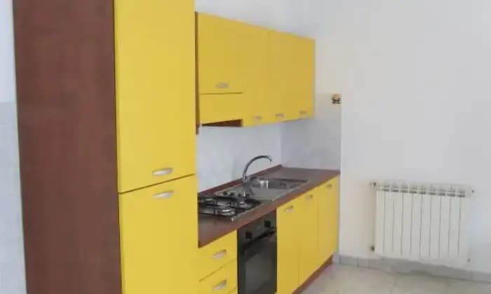 Rexer-Latina-Bilocale-arredato-recente-costruzione-CUCINA