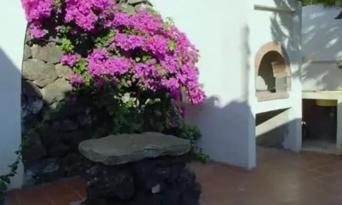 Rexer-Pantelleria-Affitto-di-appartamento-in-vicolo-dei-Giardini-Pantelleria-TERRAZZO