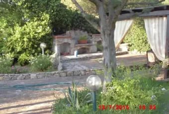 Rexer-Olbia-Villetta-con-giardino-ALTRO