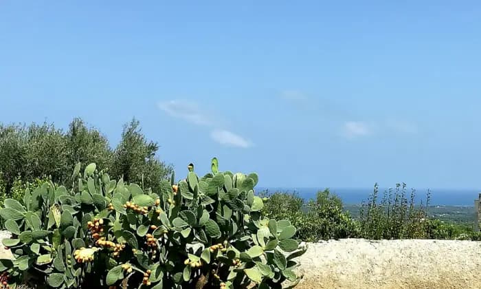 Rexer-ostuni-A-due-passi-dal-centro-storico-di-Ostuni-GIARDINO