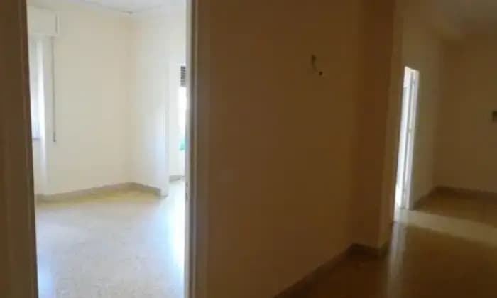Rexer-Palermo-Ampio-e-luminoso-appartamento-dotato-di-tutti-i-confort-ALTRO