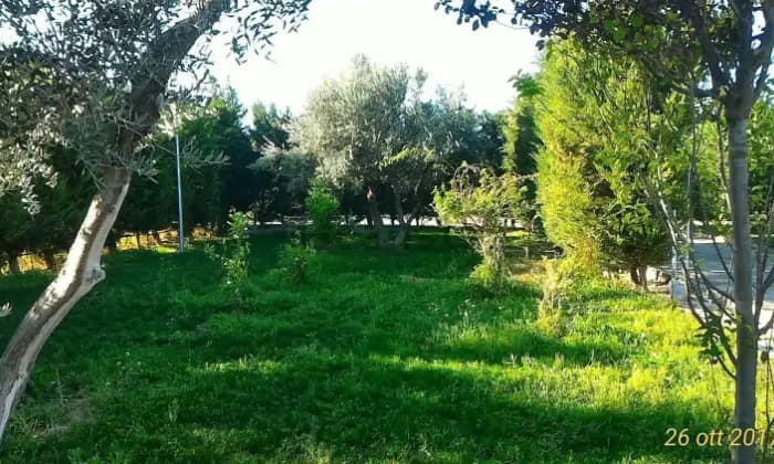 Rexer-Foggia-Villa-in-vendita-in-via-del-mare-GIARDINO