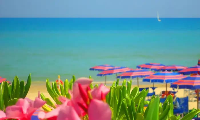 Rexer-Giulianova-Residenza-Riva-del-Sole-sulla-Pineta-FronteMare-Mare-sotto-casa-BANDIERA-BLU