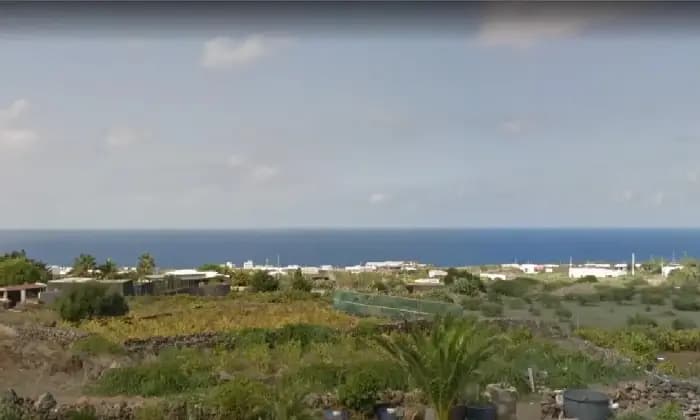 Rexer-Pantelleria-Terreno-Edificabile-Pantelleria-zona-Kuddia-Bruciata-con-vista-mare-GIARDINO