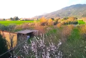 Rexer-San-Giuliano-Terme-Stanza-doppia-uso-singola-SALONE