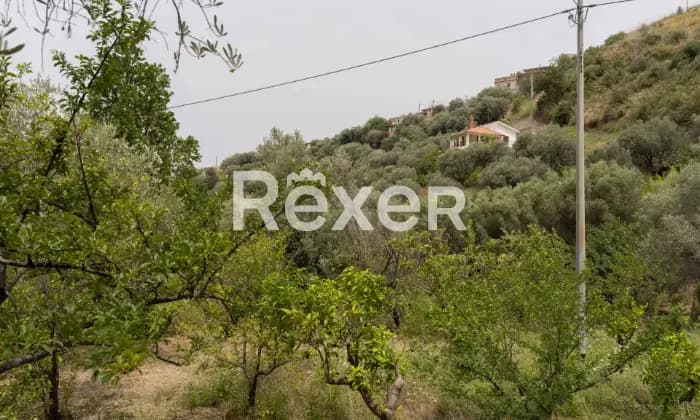 Rexer-SantAgata-di-Militello-Villetta-con-corte-esterna-e-uliveto-ALTRO