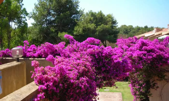 Rexer-Isola-di-Capo-Rizzuto-CASA-VACANZE-CAPOPICCOLO-GIARDINO