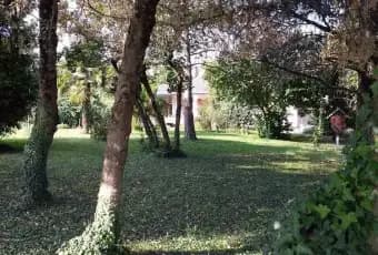 Rexer-Rovigo-Vendesi-villa-in-Viale-Tre-Martiri-a-Rovigo-GIARDINO