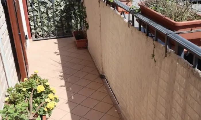 Rexer-Civitanova-Marche-Casa-indipendente-TERRAZZO