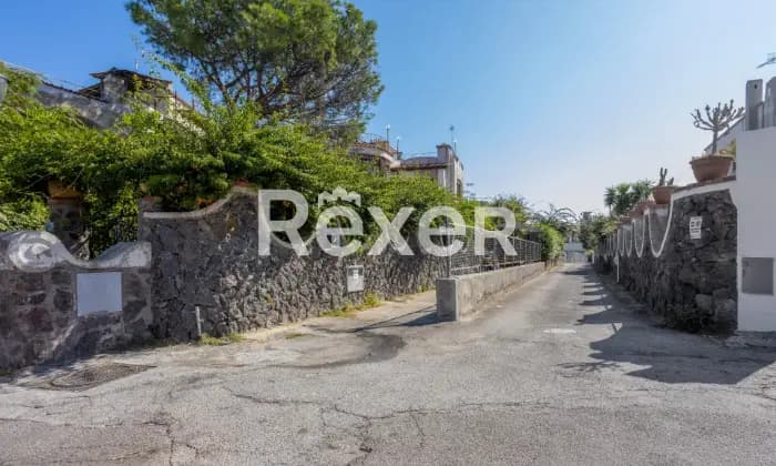 Rexer-Ischia-Appartamento-in-parco-privato-GIARDINO