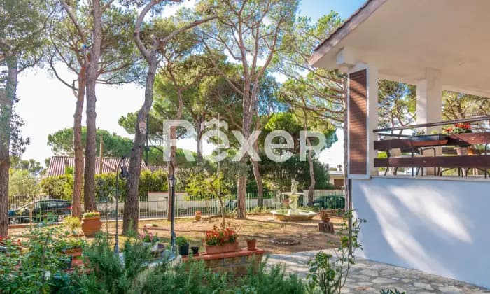 Rexer-Livorno-Villa-ben-tenuta-con-ampio-giardino-a-Quercianella-GIARDINO
