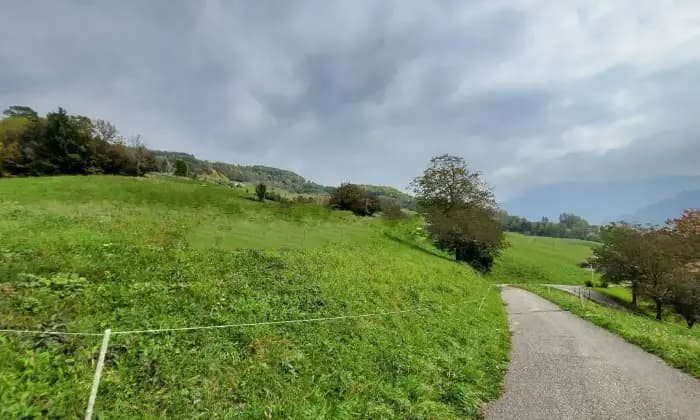 Rexer-Gorno-Porzione-di-rustico-via-Plicosa-Basello-Gorno-Terreno