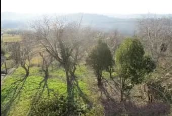 Rexer-Villadeati-Vendesi-Casa-indipendente-nel-Monferrato-raro-belvedereVILLADEATI-Terrazzo