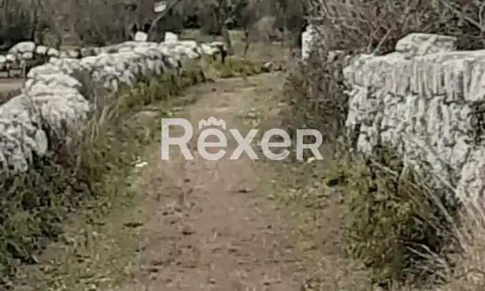 Rexer-Otranto-Oliveto-Edificabile-a-minuti-da-Otranto-LE-Giardino