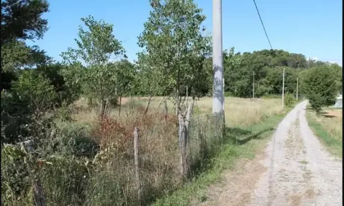 Rexer-Citt-della-Pieve-Casa-cielo-terra-in-vendita-a-Citt-della-Pieve-Terrazzo