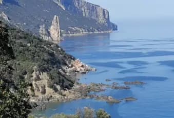 Rexer-Lotzorai-Casa-vacanze-sul-mare-in-Costa-orientale-Sardegna-Altro