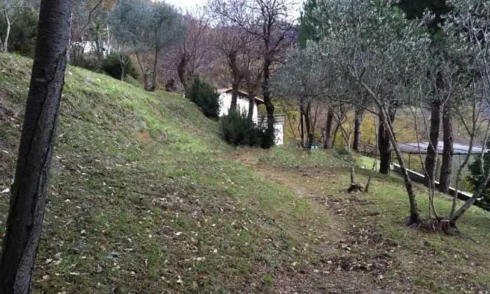Rexer-Sori-Villa-isolata-in-mezzo-al-bosco-frazione-Sussisa-Sori-Terrazzo
