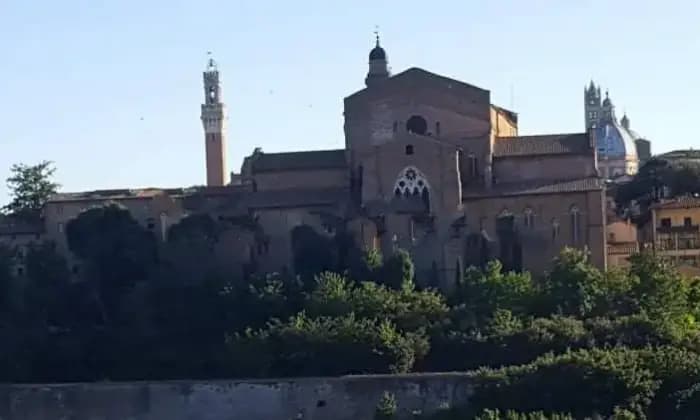 Rexer-Siena-Attico-via-del-Vecchietta-San-Domenico-Fontebranda-Siena-Giardino