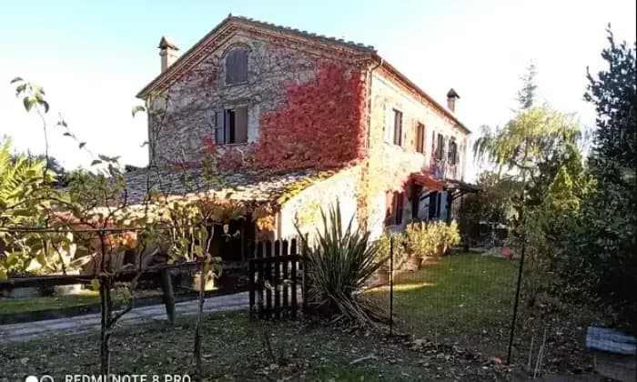 Rexer-Mondavio-Villa-Lieta-Sosta-Giardino