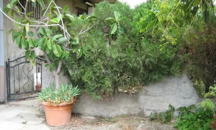 Rexer-Reggio-Calabria-Appartamento-con-giandino-mq-possibilit-ampliamento-rustico-e-garage-Giardino