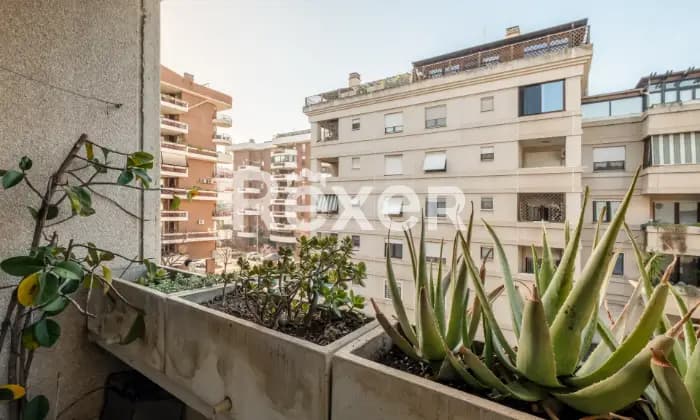 Rexer-Roma-Appartamento-luminoso-con-terrazzo-BALCONI