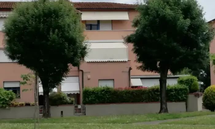 Rexer-Castelfranco-di-Sotto-Appartamento-in-vendita-in-via-Aldo-Moro-Castelfranco-di-Sotto-Giardino
