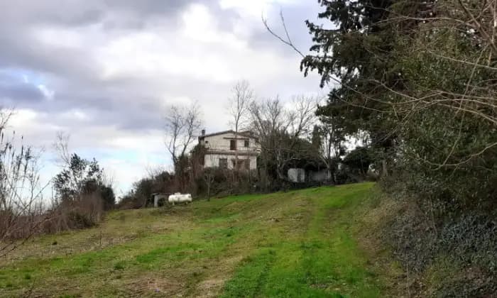 Rexer-Crespina-Lorenzana-Casale-in-vendita-in-via-Vallitri-a-Crespina-Lorenzana-Altro