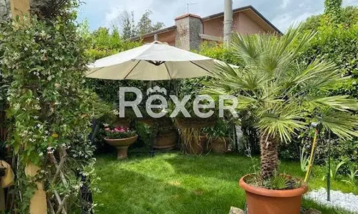 Rexer-Forte-dei-Marmi-Grazioso-appartamento-con-giardino-in-via-Matteo-Civitali-Giardino