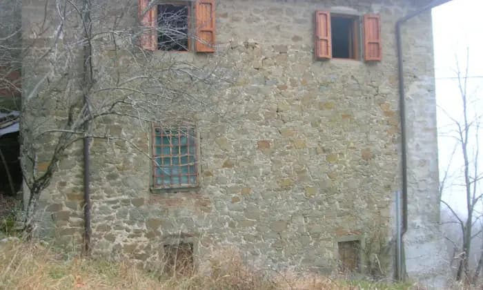 Rexer-Castel-San-Niccol-COLONICA-IN-CASENTINO-Giardino