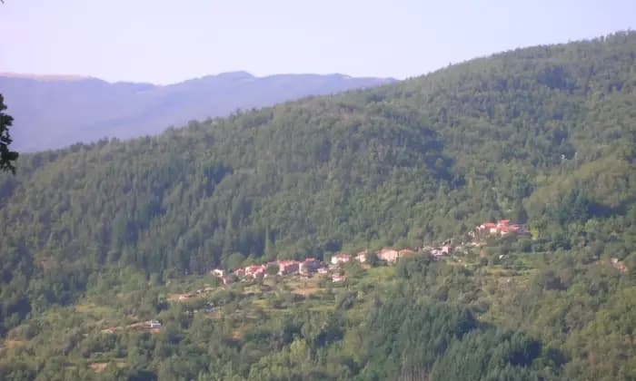 Rexer-Castel-San-Niccol-COLONICA-Giardino