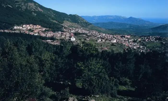Rexer-Arzana-Casa-in-vendita-in-via-Monsignor-Virgilio-ad-Arzana-Terrazzo