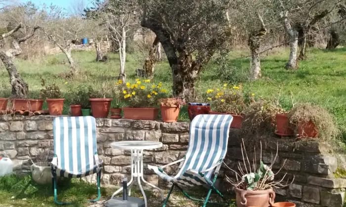 Rexer-Pontelandolfo-Villa-in-collina-con-grande-oliveto-Terrazzo