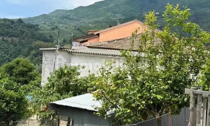 Rexer-Omignano-Vendesi-casa-a-pian-terreno-Altro