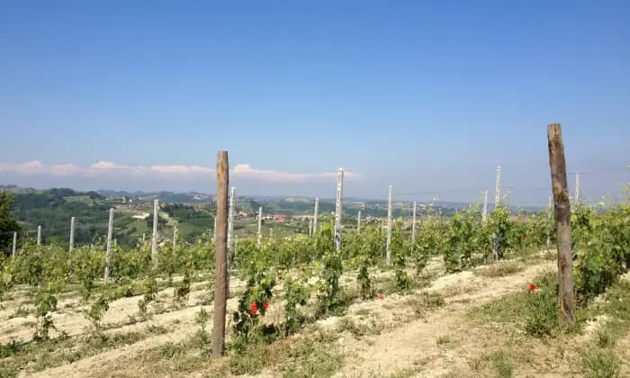 Rexer-Govone-Terreno-Edificabile-Panoramico-in-zona-di-pregio-UNESCO-Terrazzo