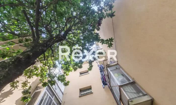 Rexer-Bologna-Appartamento-di-mq-con-giardino-di-mq-e-cantina-Terrazzo