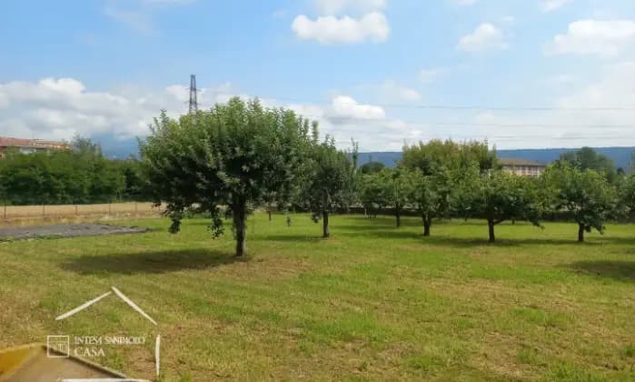 Rexer-Ivrea-Palazzina-composta-da-quattro-abitazioni-tre-autorimesse-giardino-ed-ampia-mansarda-Terrazzo