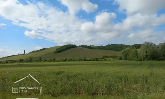 Rexer-Certaldo-Azienda-agricola-con-agriturismo-piscina-e-oltre-ettari-di-terreni-Terrazzo