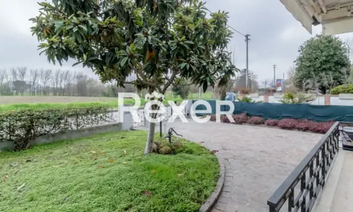 Rexer-Abano-Terme-Villa-singola-mq-con-terrazzo-e-giardino-Giardino