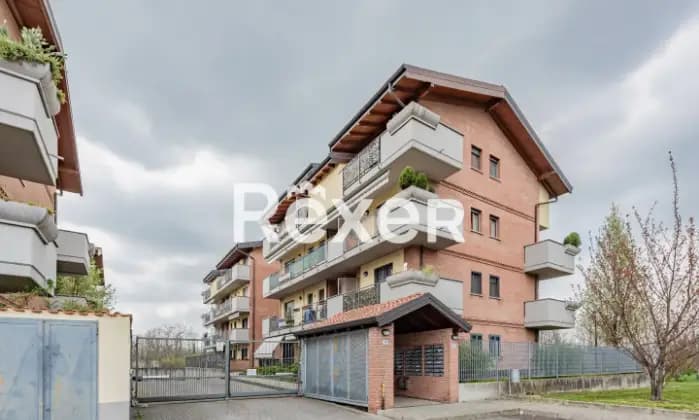 Rexer-Cesano-Boscone-Bilocale-con-cucina-abitabile-balcone-cantina-e-box-auto-Terrazzo