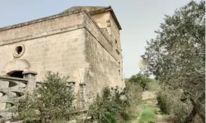 Rexer-Gravina-in-Puglia-Casalecascina-in-vendita-in-contrada-Albanello-a-Gravina-in-Puglia-Giardino
