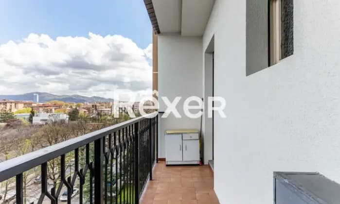 Rexer-Torino-Ampio-appartamento-panoramico-Terrazzo