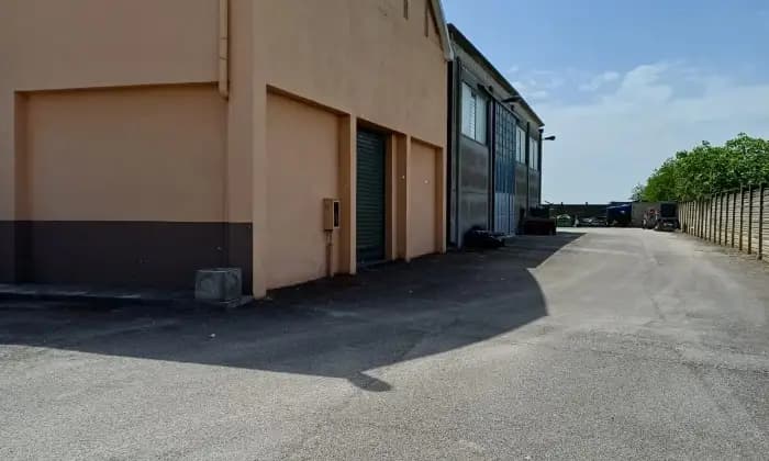Rexer-Comacchio-Immobile-in-Strada-Statale-Romea-a-San-Giuseppe-di-Comacchio-Giardino