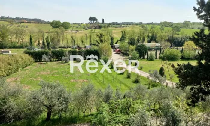 Rexer-Porcari-Agriturismo-con-piscina-maneggio-e-appartamenti-uso-turistico-Giardino
